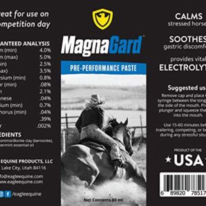 MagnaGard Pre-Performance Paste for Horses - All Natural Calmer, Acid Buffer, Gastric Support w/ Electrolytes - 60ml Syringe