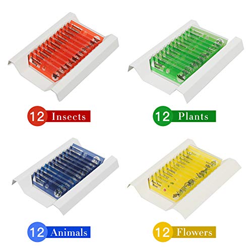 48pcs Kids Prepared Microscope Slides of Animals Insects Plants Flowers Specimens for Kids’ Microscopes