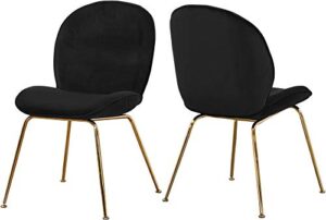 meridian furniture paris collection modern | contemporary velvet upholstered dining chair with polished gold metal legs, set of 2, 19.5" w x 25" d x 34.5" h,