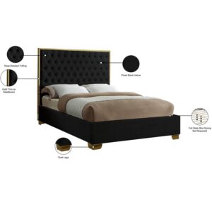 Meridian Furniture Lana Collection Modern | Contemporary Velvet Upholstered Bed with Deep Detailed Tufting and Gold Legs, Queen, Black