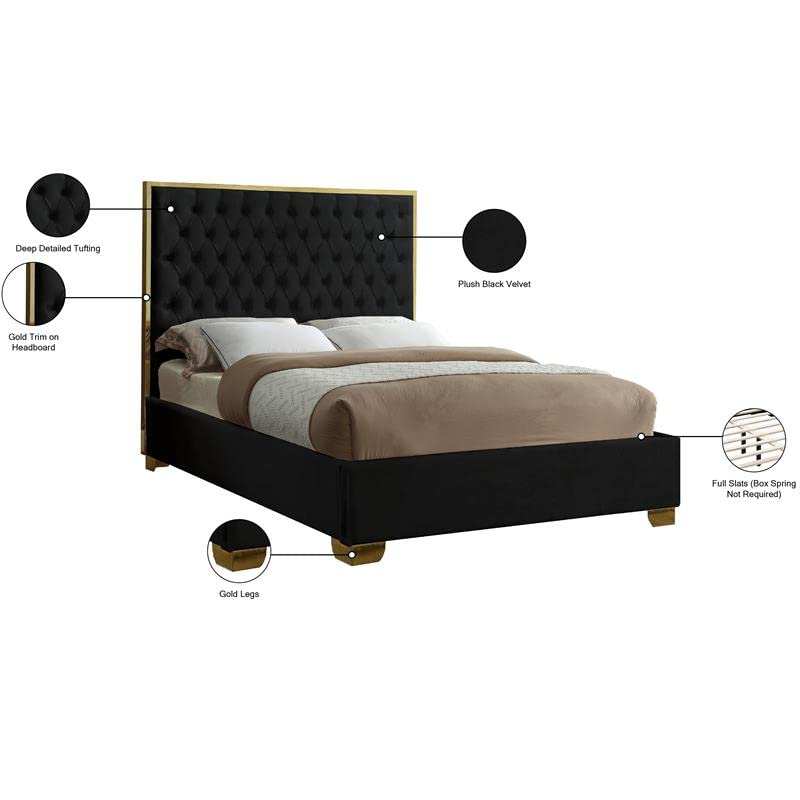 Meridian Furniture Lana Collection Modern | Contemporary Velvet Upholstered Bed with Deep Detailed Tufting and Gold Legs, Queen, Black