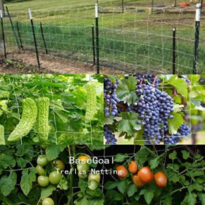 BaseGoal All-Weather Trellis Netting Mesh Plant Garden Vine Growing Flexible String Net (3.5" Mesh ployester, 5' Wx 15'L)