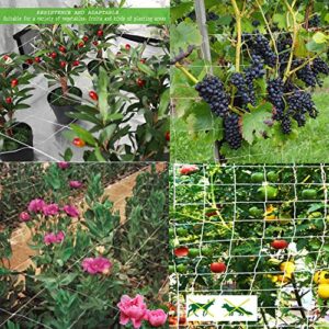 BaseGoal All-Weather Trellis Netting Mesh Plant Garden Vine Growing Flexible String Net (3.5" Mesh ployester, 5' Wx 15'L)