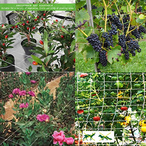 BaseGoal All-Weather Trellis Netting Mesh Plant Garden Vine Growing Flexible String Net (3.5" Mesh ployester, 5' Wx 15'L)