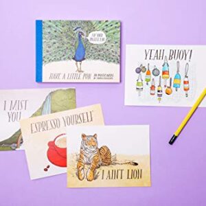 Have a Little Pun: 30 Postcards: (Illustrated Postcards, Book of Witty Postcards, Cute Postcards)