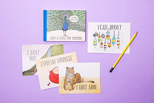 Have a Little Pun: 30 Postcards: (Illustrated Postcards, Book of Witty Postcards, Cute Postcards)