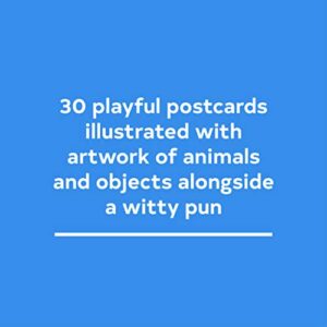 Have a Little Pun: 30 Postcards: (Illustrated Postcards, Book of Witty Postcards, Cute Postcards)