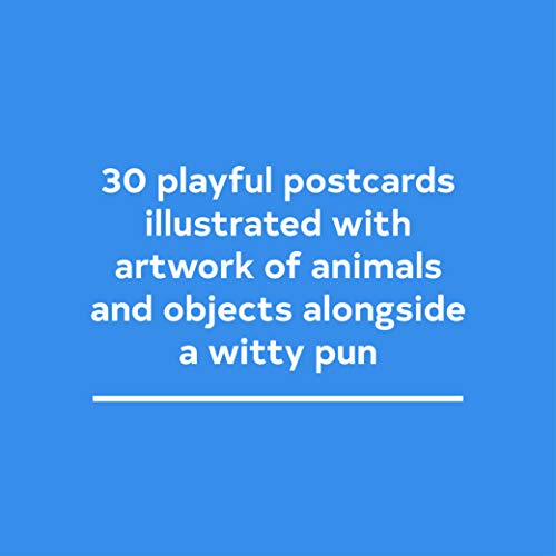 Have a Little Pun: 30 Postcards: (Illustrated Postcards, Book of Witty Postcards, Cute Postcards)