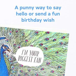 Have a Little Pun: 30 Postcards: (Illustrated Postcards, Book of Witty Postcards, Cute Postcards)