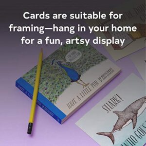 Have a Little Pun: 30 Postcards: (Illustrated Postcards, Book of Witty Postcards, Cute Postcards)