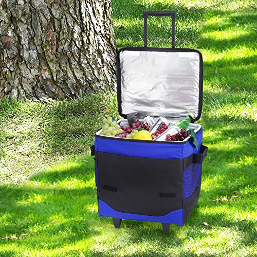 Picnic at Ascot Original 60 Can Collapsible Insulated Rolling Cooler- Designed & Quality Approved in the USA