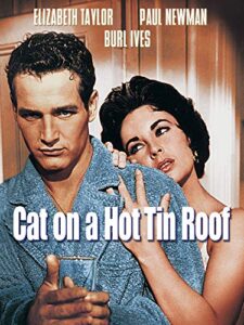 cat on a hot tin roof