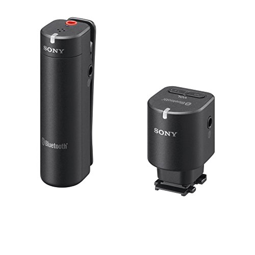 Sony ECMW1M Wireless Microphone (Black)