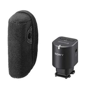 Sony ECMW1M Wireless Microphone (Black)