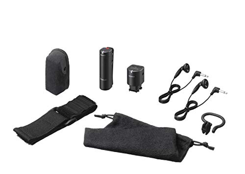 Sony ECMW1M Wireless Microphone (Black)