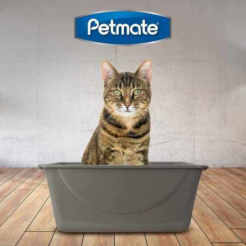 Petmate Open Cat Litter Box, Extra Large Nonstick Litter Pan Durable Standard Litter Box, Mouse Grey Great for Small & Large Cats Easy to Clean & USA Made