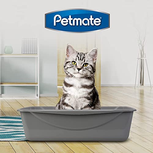 Petmate Open Cat Litter Box, Extra Large Nonstick Litter Pan Durable Standard Litter Box, Mouse Grey Great for Small & Large Cats Easy to Clean & USA Made