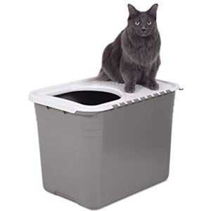 Petmate Top Entry Litter Cat Litter Box With Filter Lid To Clean Paws