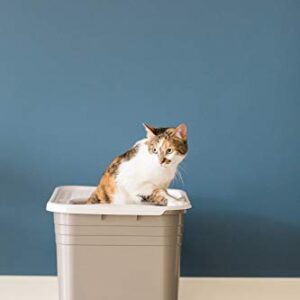 Petmate Top Entry Litter Cat Litter Box With Filter Lid To Clean Paws