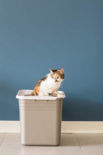 Petmate Top Entry Litter Cat Litter Box With Filter Lid To Clean Paws