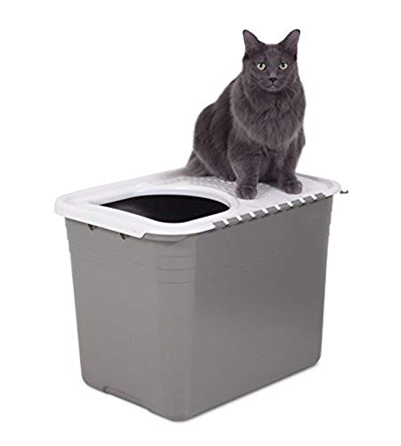 Petmate Top Entry Litter Cat Litter Box With Filter Lid To Clean Paws