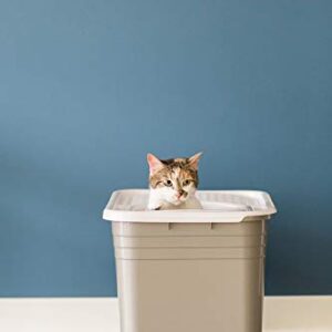 Petmate Top Entry Litter Cat Litter Box With Filter Lid To Clean Paws