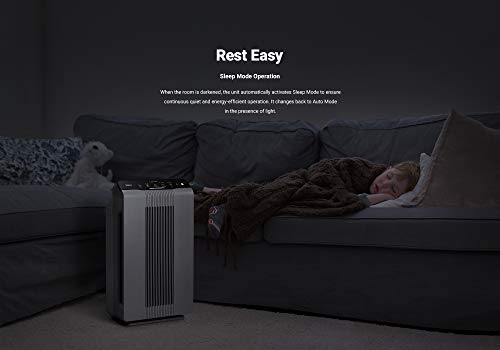 Winix 5300-2 Air Purifier with True HEPA, PlasmaWave and Odor Reducing Carbon Filter,Gray Medium