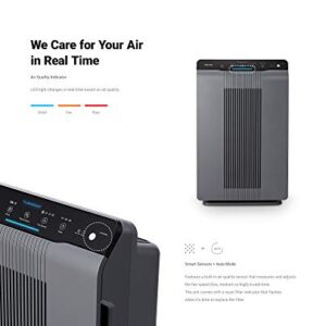 Winix 5300-2 Air Purifier with True HEPA, PlasmaWave and Odor Reducing Carbon Filter,Gray Medium