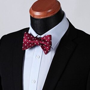 HISDERN Mens Bow Ties Red Polka Dots Self-Tie Bow Tie and Pocket Square Classic Formal Business Bowtie Tuxedo Wedding Bowties Handkerchief Set