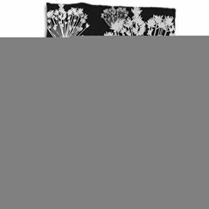 3D Rose Contemporary Black-White-and Gray Dandelions Hand Towel, 15" x 22", Multicolor