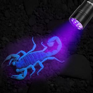 morpilot Blacklight Flashlights uv Flashlight: 12 Led 395nm 2 Pcs Black Light Flashlight Mini, Pet Urine Detector Light for Dog/Cat, Dry Stains, Resin Curing, Bed Bug