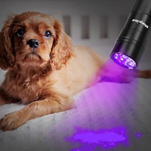 morpilot Blacklight Flashlights uv Flashlight: 12 Led 395nm 2 Pcs Black Light Flashlight Mini, Pet Urine Detector Light for Dog/Cat, Dry Stains, Resin Curing, Bed Bug