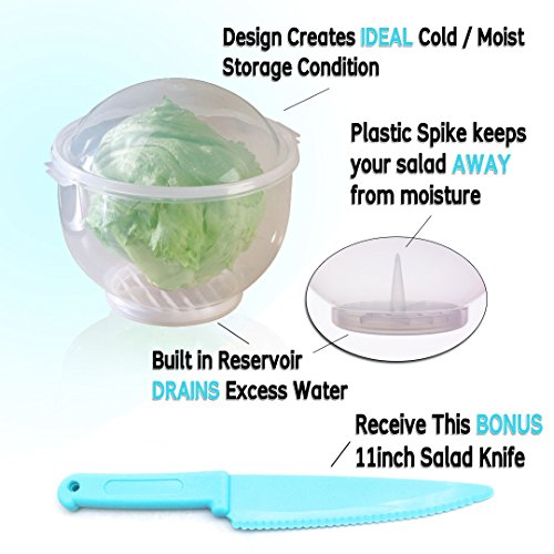 Lettuce Crisper Salad Keeper Container Keeps your Salads and Vegetables Crisp and Fresh - This Second Generatiion Storage Container Comes with a Tighter Lid with a Bonus Lettuce Knife