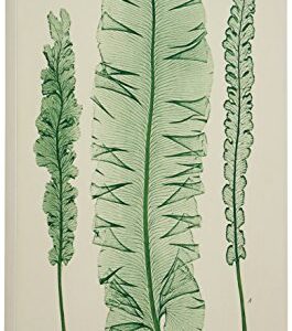 Amazon Brand – Stone & Beam Modern Green on White Botanical Canvas Print Wall Art, 16" x 24"
