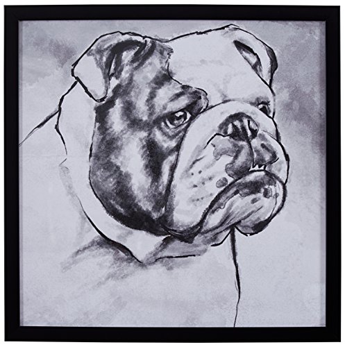 Amazon Brand – Stone & Beam Modern Black and White Print Wall Art of English Bulldog, Black Frame, 22" x 22"