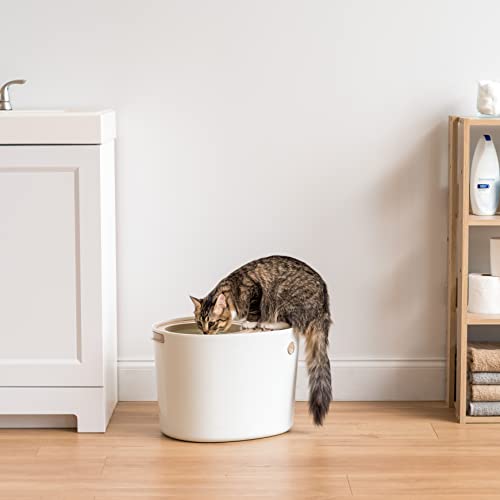 IRIS USA Medium Stylish Round Top Entry Cat Litter Box with Scoop, Curved Kitty Litter Pan with Litter Particle Catching Grooved Cover and Privacy Walls, White/Beige