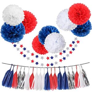 31pcs tissue paper pom pom silver navy blue red white tassel garland party decorations 10" 12" paper flowers twinkle star garland kit for birthday baby shower wedding nursery decorations