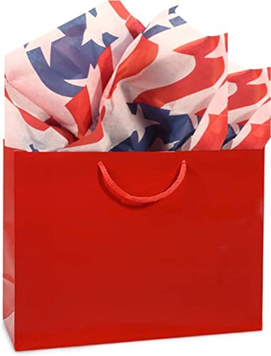 Rustic Pearl Collection Printed Tissue Paper for Gift Wrapping with Red, White & Blue Patriotic Flag Design, Decorative Tissue Paper - 24 Large Sheets, 20x30