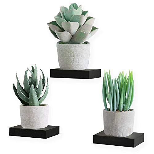 RANK Wall Mount Display Ledges Showcase Floating Shelves Set of 3 (Black)