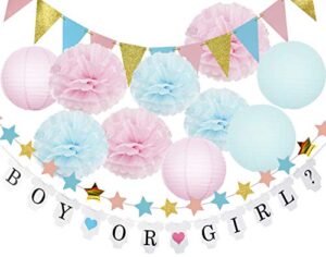 gender reveal party decorations boy or girl banner glitter gender reveal cupcake toppers glitter gold pink blue triangle garland star garland tissue paper pom poms paper lanterns for baby shower party