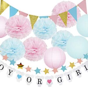 Gender Reveal Party Decorations BOY OR GIRL Banner Glitter Gender Reveal Cupcake Toppers Glitter Gold Pink Blue Triangle Garland Star Garland Tissue Paper Pom Poms Paper Lanterns for Baby Shower Party