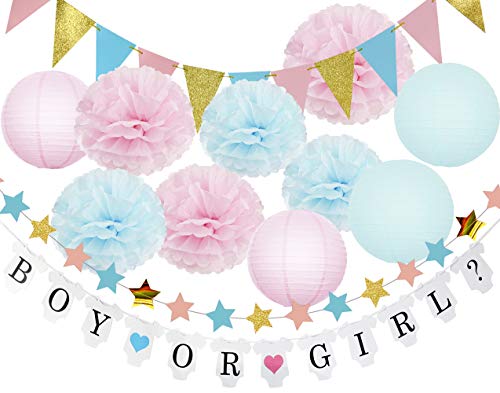 Gender Reveal Party Decorations BOY OR GIRL Banner Glitter Gender Reveal Cupcake Toppers Glitter Gold Pink Blue Triangle Garland Star Garland Tissue Paper Pom Poms Paper Lanterns for Baby Shower Party