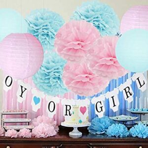 Gender Reveal Party Decorations BOY OR GIRL Banner Glitter Gender Reveal Cupcake Toppers Glitter Gold Pink Blue Triangle Garland Star Garland Tissue Paper Pom Poms Paper Lanterns for Baby Shower Party