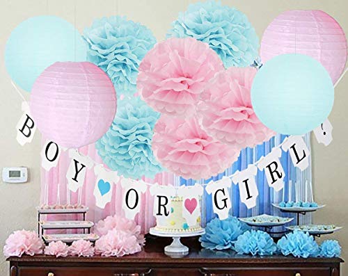 Gender Reveal Party Decorations BOY OR GIRL Banner Glitter Gender Reveal Cupcake Toppers Glitter Gold Pink Blue Triangle Garland Star Garland Tissue Paper Pom Poms Paper Lanterns for Baby Shower Party