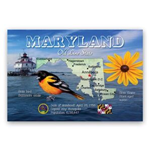 maryland map postcard set of 20 identical postcards. md state map post cards. made in usa.