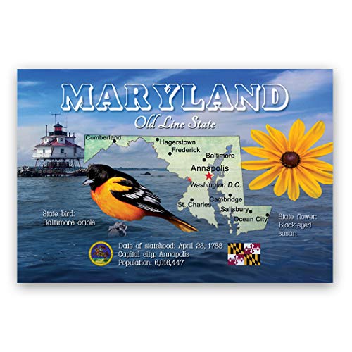 MARYLAND MAP postcard set of 20 identical postcards. MD state map post cards. Made in USA.