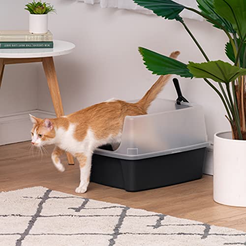 IRIS USA Open Top Cat Litter Tray with Scoop and Scatter Shield, Sturdy Easy to Clean Open Air Kitty Litter Pan with Tall Spray and Scatter Shield, Black/Clear