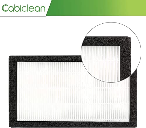 FLT4100 True HEPA Replacement Filter Size E for Guardian Technologies model AC4100 AC4100CA AC4150BL AC4150PCA AC4150P, 3 x Hepa Filter + 9 x Activated Carbon Pre-Filter