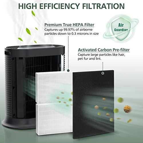 HPA200 HEPA Filter Replacement Compatible with Honeywell HPA200 HRF-ARVP200 Series Air Purifier HPA200, HPA201, HA202, HPA204, HPA250, HPA5200, 2 HEPA R and 4 Precut Carbon Pre-Filters A