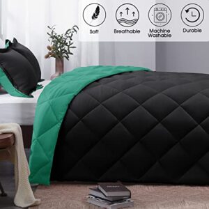 Basic Beyond Queen Comforter Set - Green Comforter Set Queen, Reversible Bed Comforter Queen Set for All Seasons, Black/Mint Leaf, 1 Comforter (88"x92") and 2 Pillow Shams (20"x26"+2")